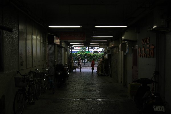 d0152960_19355233.jpg
