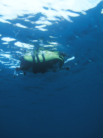 b0062363_2015817.jpg