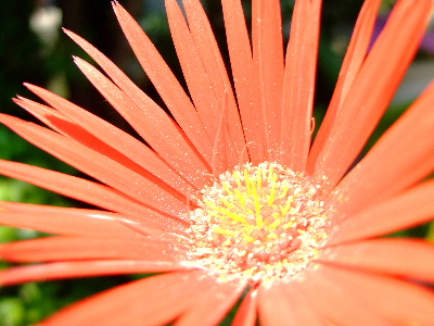 d0102664_0313178.jpg