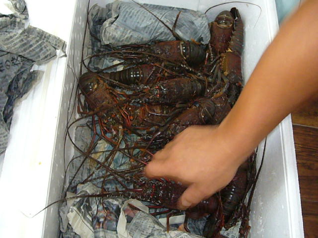 f0057565_031614.jpg