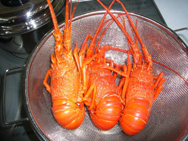 f0057565_0441478.jpg