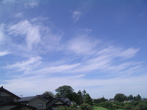 c0133470_14124370.jpg