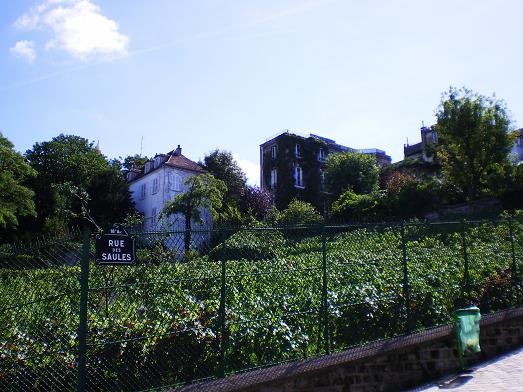 b0137274_02334100.jpg