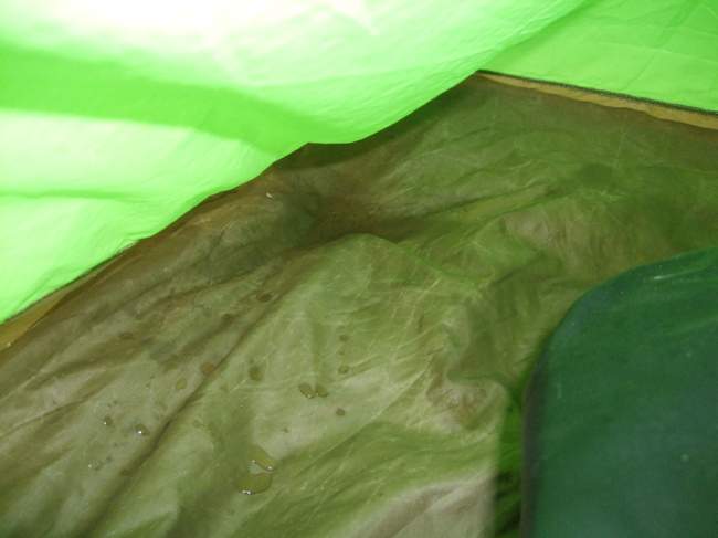 e0020074_21571834.jpg