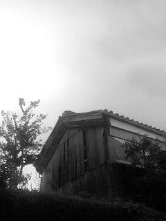 f0100480_19395470.jpg