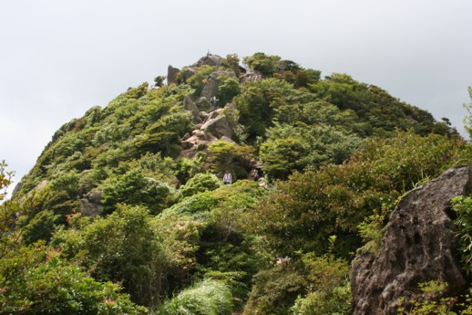 f0082181_14232013.jpg