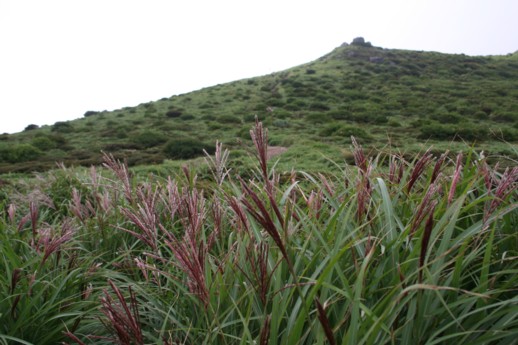 f0082181_14262346.jpg