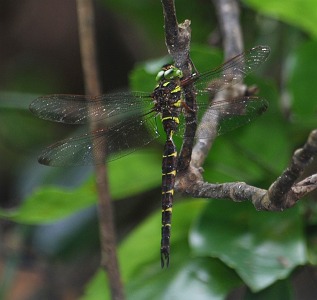 a0044783_15144439.jpg