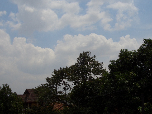 c0175883_1664661.jpg