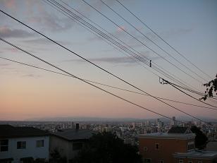 d0129083_0345971.jpg