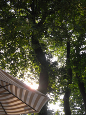 c0130986_1128540.jpg