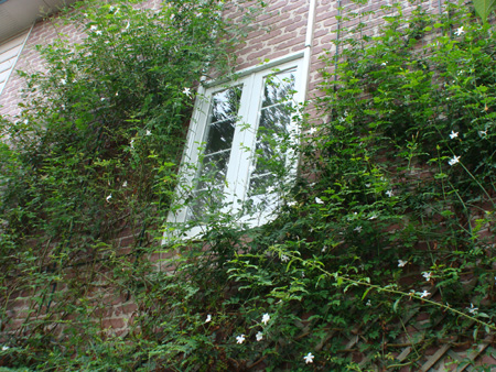 e0008586_2202842.jpg