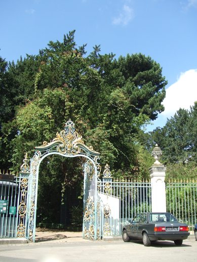 e0030488_21575829.jpg
