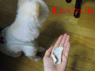 e0121589_16184150.jpg
