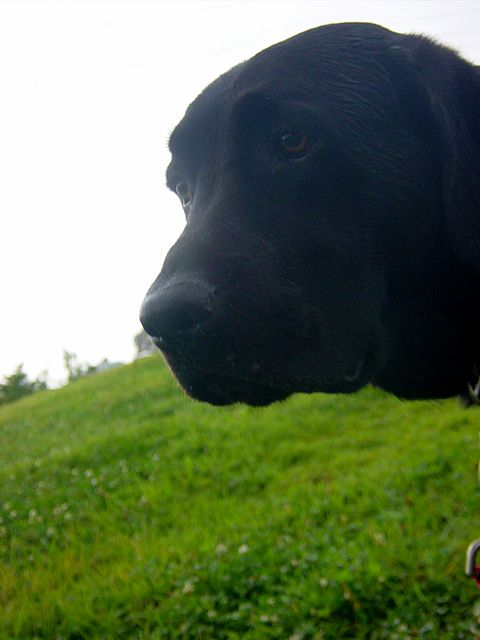 a0093592_0411192.jpg