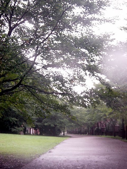 a0093592_1275866.jpg