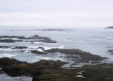 b0148594_156746.jpg