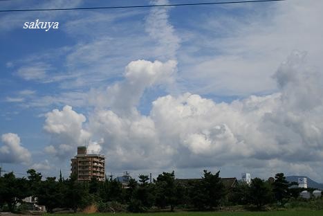 e0122194_22162469.jpg