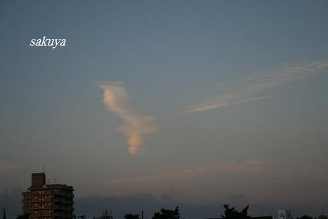 e0122194_22194963.jpg