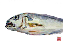 f0008597_20374114.jpg