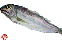 f0008597_20381943.jpg