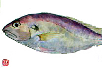 f0008597_20383226.jpg