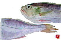 f0008597_2038896.jpg