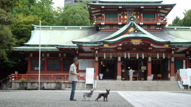 c0138198_15273276.jpg