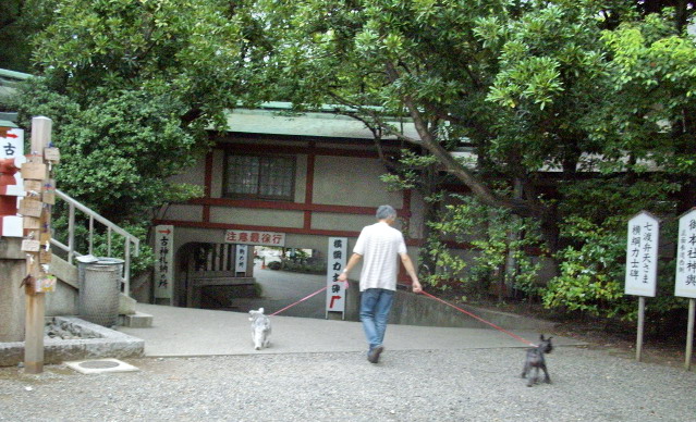 c0138198_15301167.jpg
