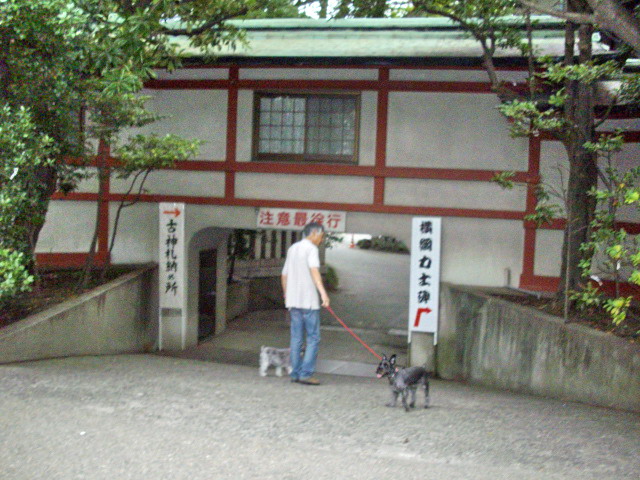 c0138198_1533748.jpg