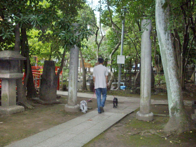 c0138198_15393789.jpg