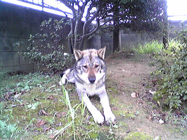 f0079202_812869.jpg