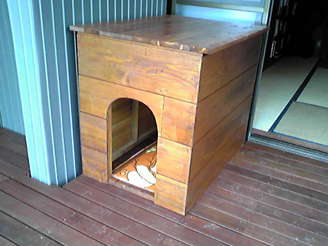 f0079202_812896.jpg