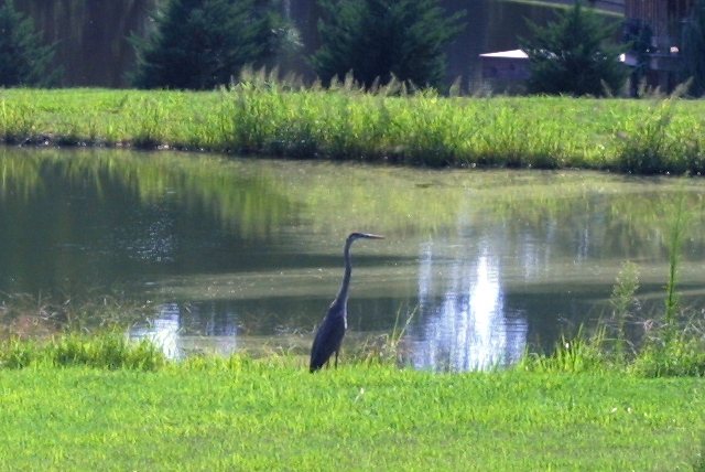 c0062603_12533117.jpg
