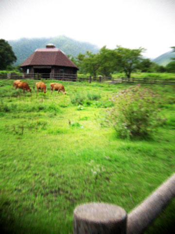 d0077603_8563358.jpg