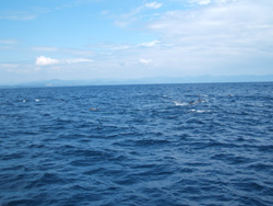 f0048405_8161970.jpg