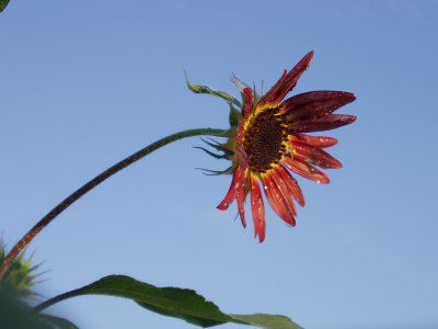 c0147909_11172660.jpg