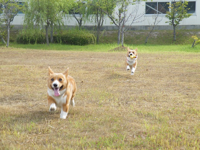 c0127617_1820121.jpg