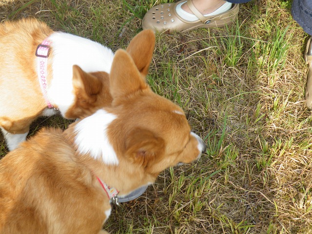 c0127617_18244553.jpg
