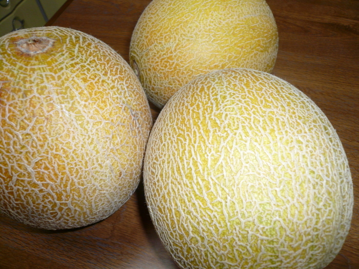 d0087418_13691.jpg