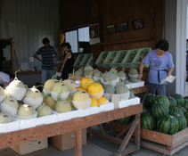 d0087418_1504077.jpg