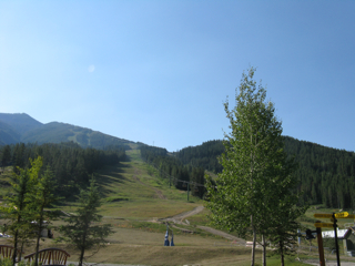c0156019_138429.jpg