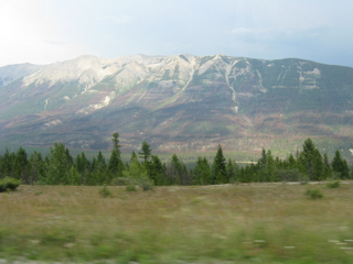 c0156019_255755.jpg