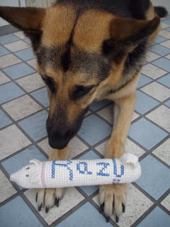 c0090220_1553054.jpg