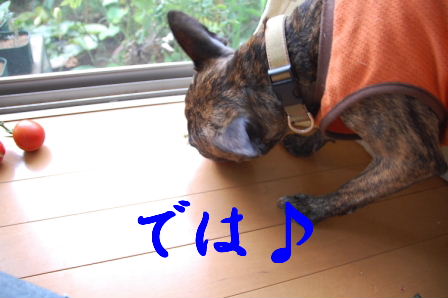 c0130324_2291390.jpg