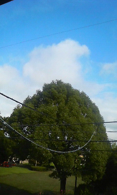 f0054926_17432641.jpg