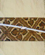 d0048332_20122383.gif
