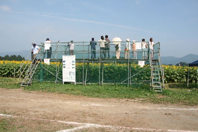 e0064133_2318278.jpg