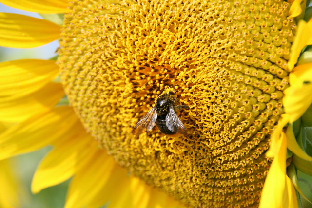 e0064133_23205930.jpg
