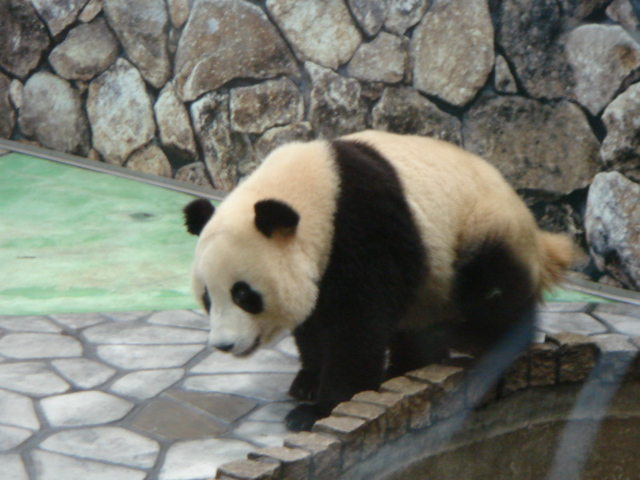 c0100534_7544221.jpg